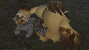 A sleeping chocobo