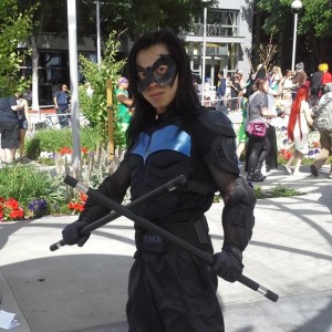 Nightwing Picture by Brit Cossel